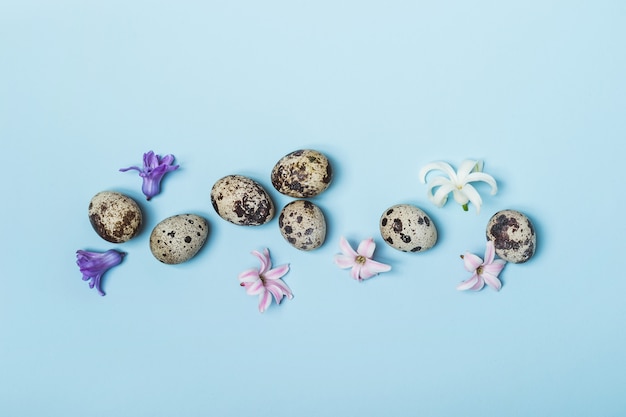 Quail eggs and hyacinth flowers on a blue background. Easter concept