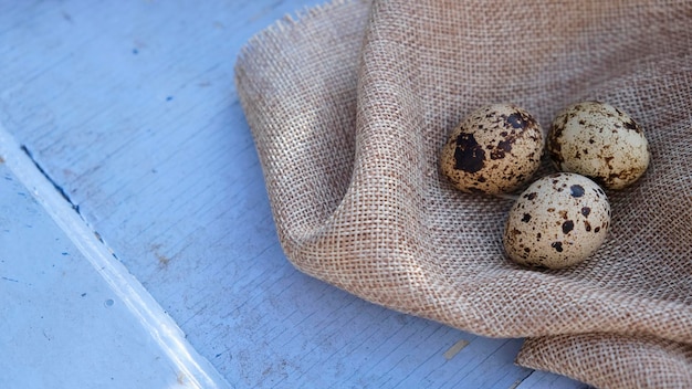 Quail eggs isolated on a rustic cloth on a light blue background with copy space