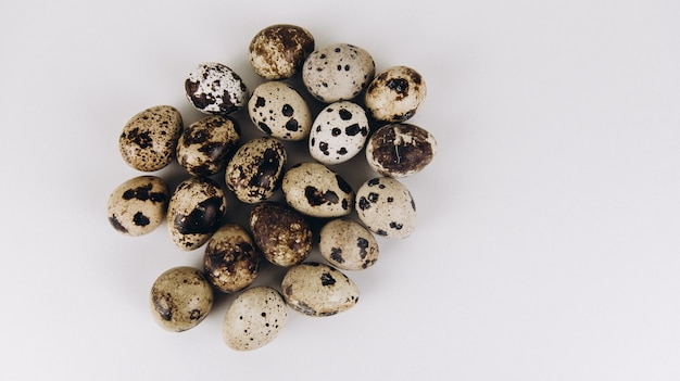 Quail eggs isolated on white background