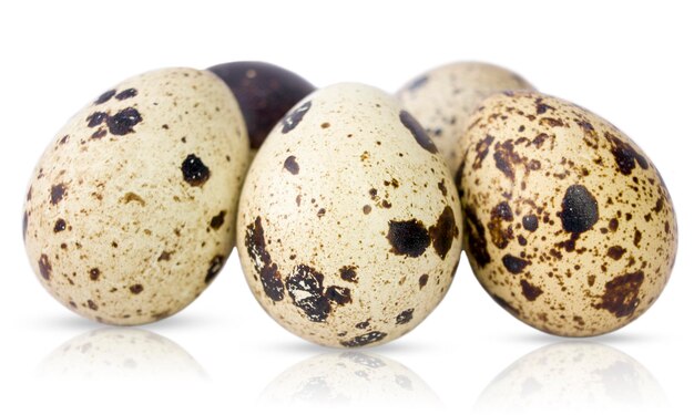 Photo quail eggs isolated on white