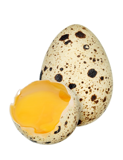 Quail eggs isolated