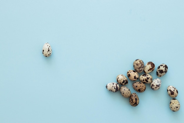 Quail eggs on light blue background copy space