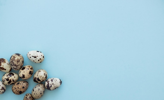 Quail eggs on light blue background copy space