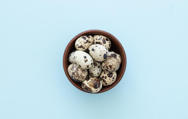 Quail eggs on light blue background copy space