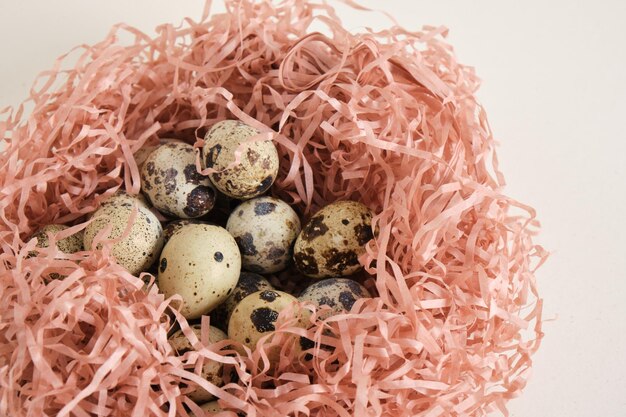 Quail eggs on light texture background copy space