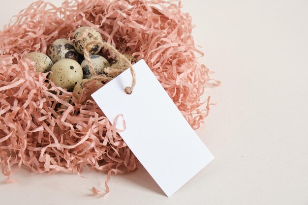 Quail eggs on light texture background copy space