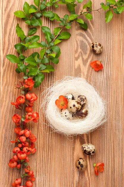 Quail eggs on a light wooden background top view