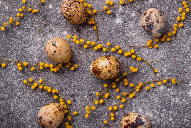 Quail eggs and mimosa flowers