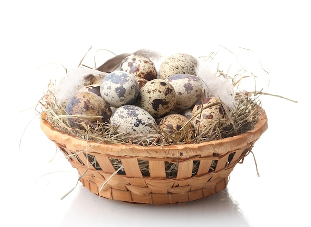 Quail eggs in nest isolated on white