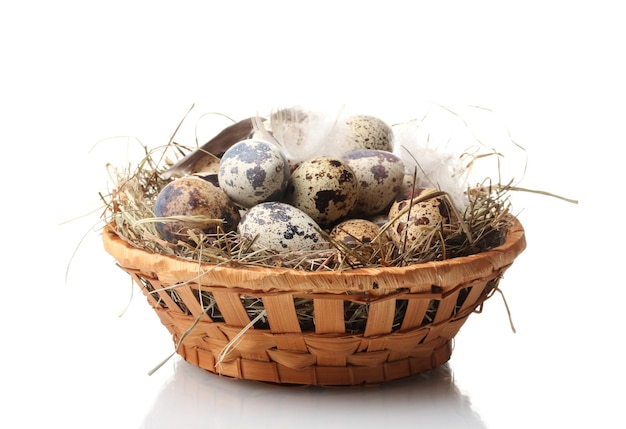 Quail eggs in nest isolated on white