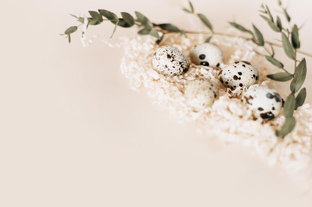 Photo quail eggs in nest on pastel background copy space