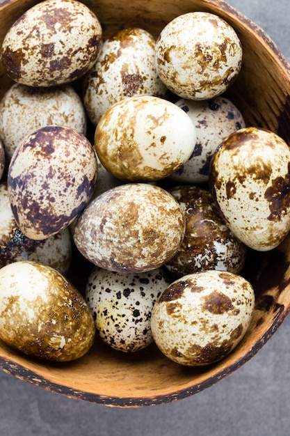 Quail eggs in the nest, a symbol of spring.