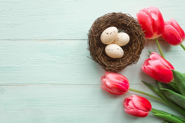 Quail eggs in the nest and tulips top view Easter concept