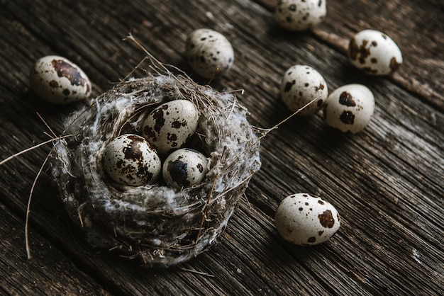 Quail eggs in a nest on a wooden background