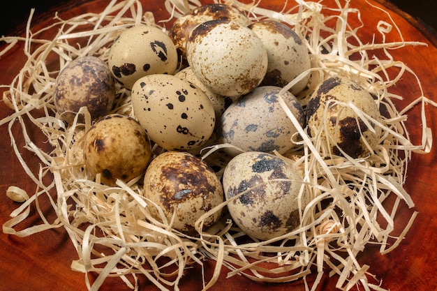 Quail eggs in a nest