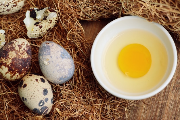 quail eggs in nest