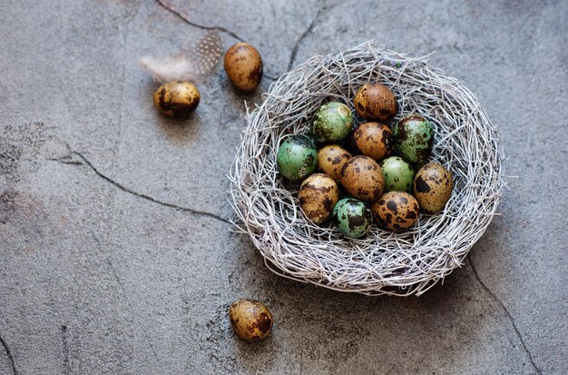 Quail Eggs in Nest