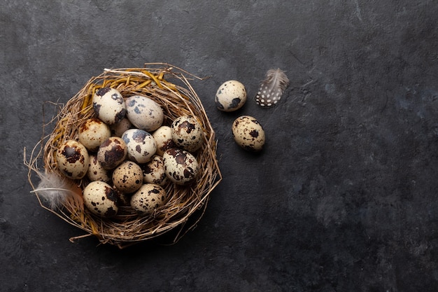 Quail eggs in nest