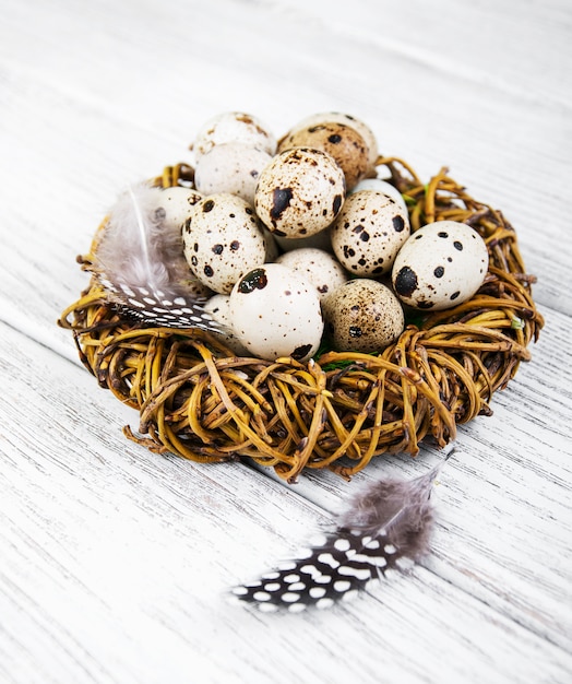 Quail eggs in nest