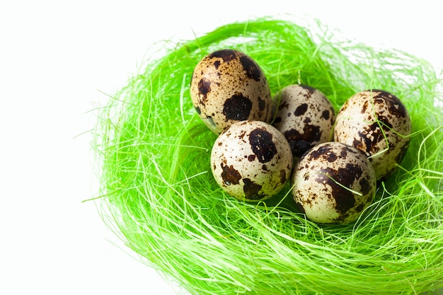 Quail eggs in the nest 