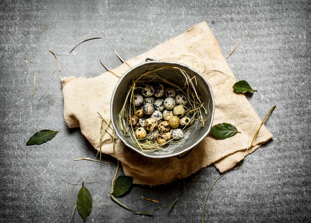 Quail eggs in an old pot and a Bay leaf