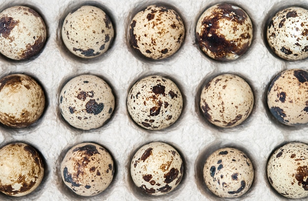 Quail eggs in the package.