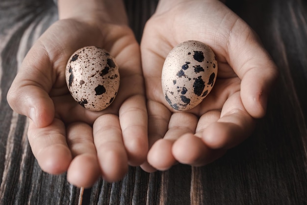 The quail eggs on the palms on the background of the wood table, selective focus.