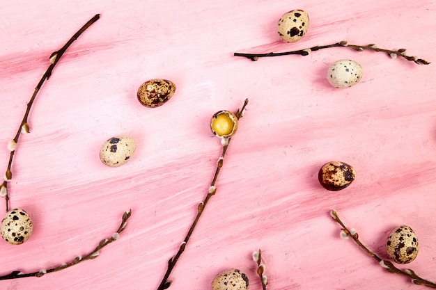 Quail eggs on pink background with willow branch.