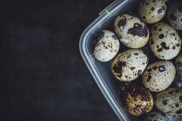 Quail eggs in a plastic bowl top view