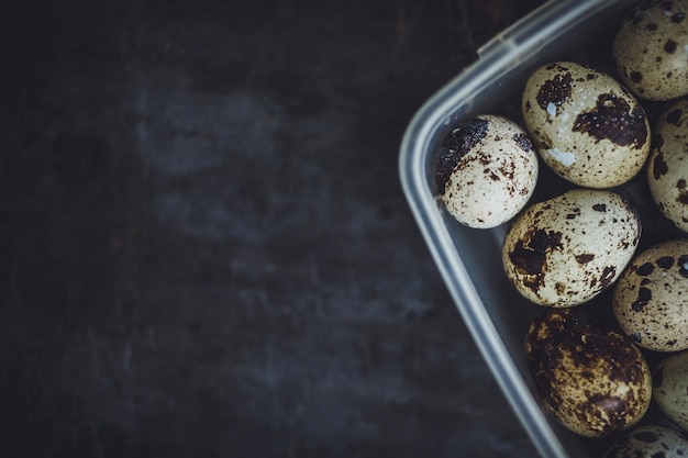 Quail eggs in a plastic bowl top view