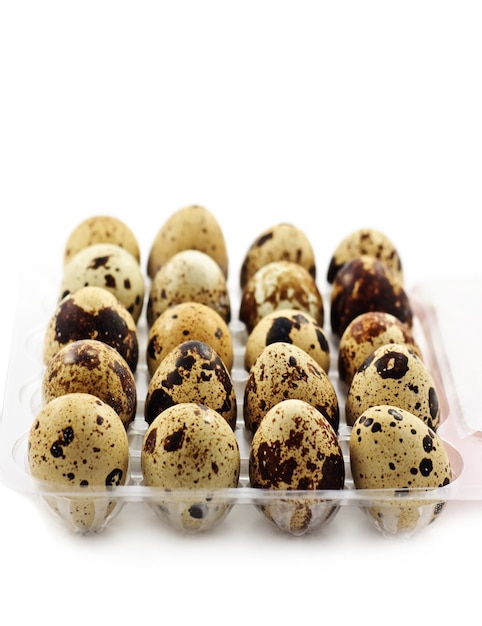 Quail  eggs  in plastic box, shallow depth of field