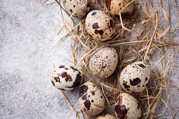 Quail eggs and straw on light background