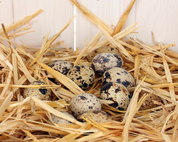 Quail eggs in the straw on white wooden background