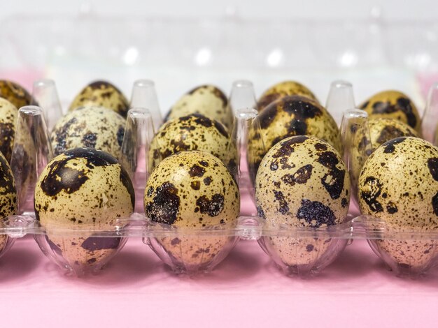 Quail eggs in a transparent plastic container on pink background