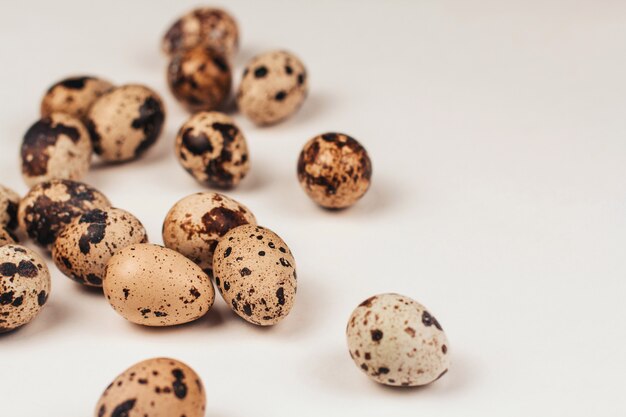 quail eggs on a white background copy space