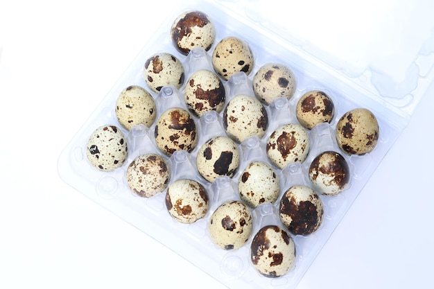 quail eggs on the white background with copy space