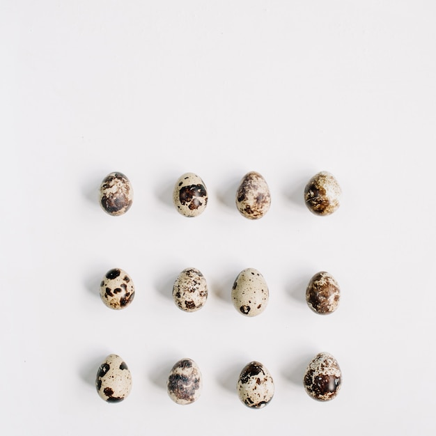 Quail eggs on white surface