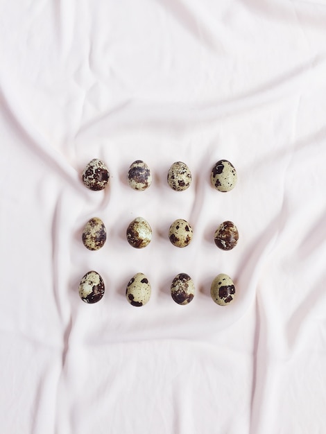 Quail eggs on white T-shirt