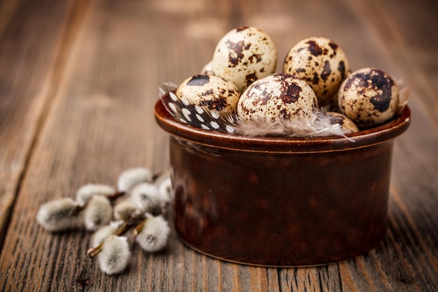 Quail eggs and willow branches