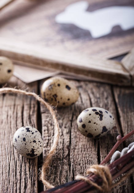 Quail eggs and willow,a rabbit in wooden frame