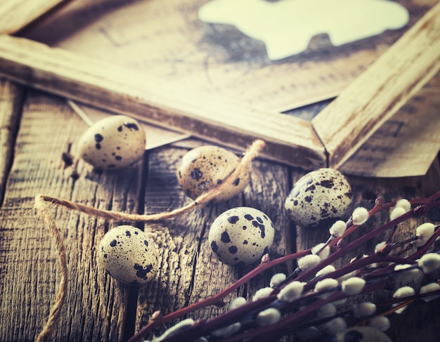 Quail eggs and willow