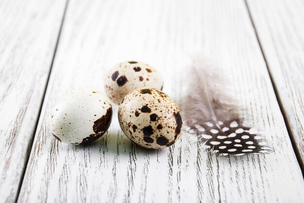 Quail eggs with feather