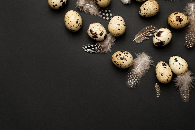 Quail eggs with feathers on a black background with copyspace. Holiday easter, minimalistic black composition