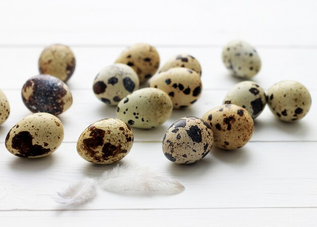 Quail eggs with orange feathers on wooden background. Easter holiday background.