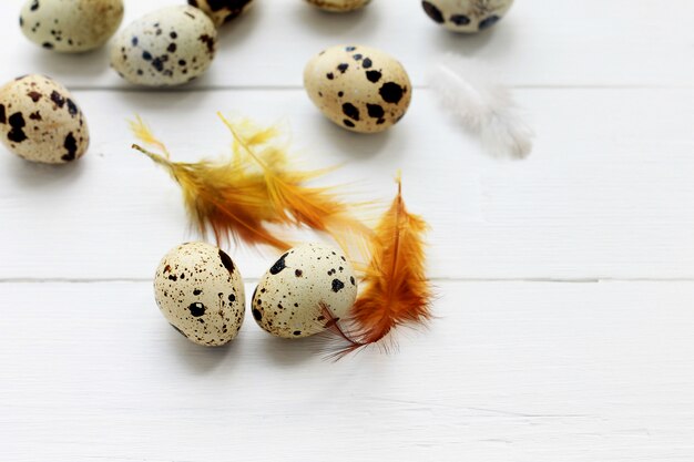 Quail eggs with orange feathers on wooden background. Easter holiday background.