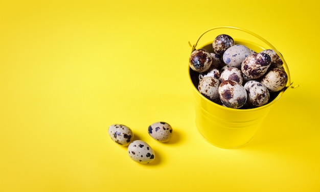 Quail eggs in a yellow iron bucket on a yellow 