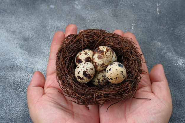 quail eggs