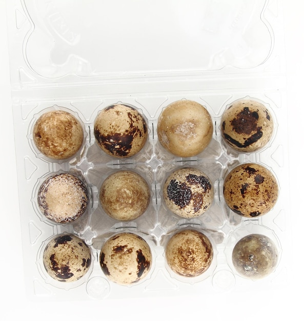 Photo quail eggs