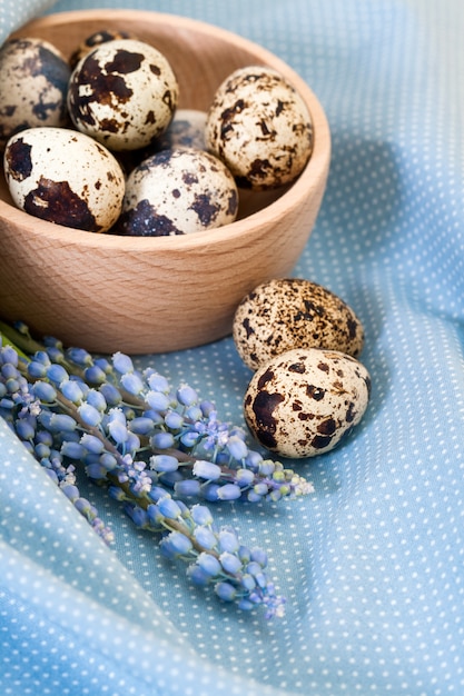 Quail eggs