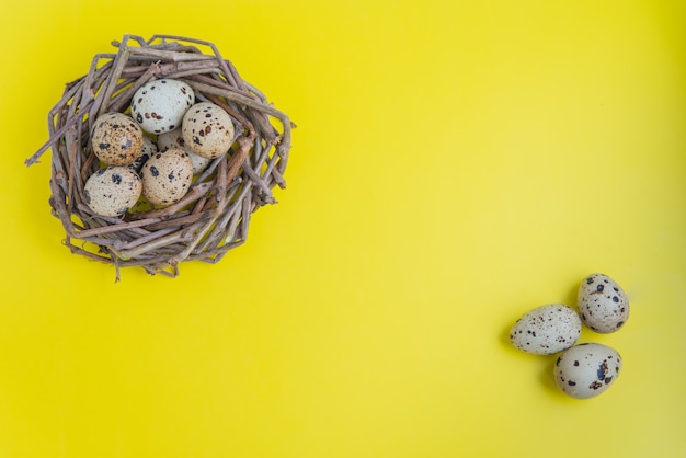 Quail nest with eggs on the yellow background. Flatlay  with copy space for postcards and design